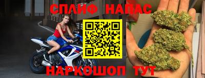 ECSTASY Моздок
