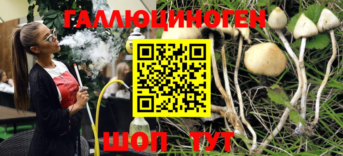 Псилоцибиновые грибы MAGIC MUSHROOMS Чусовой